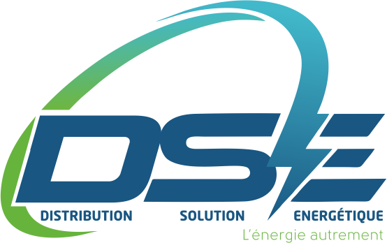 DSE Logo